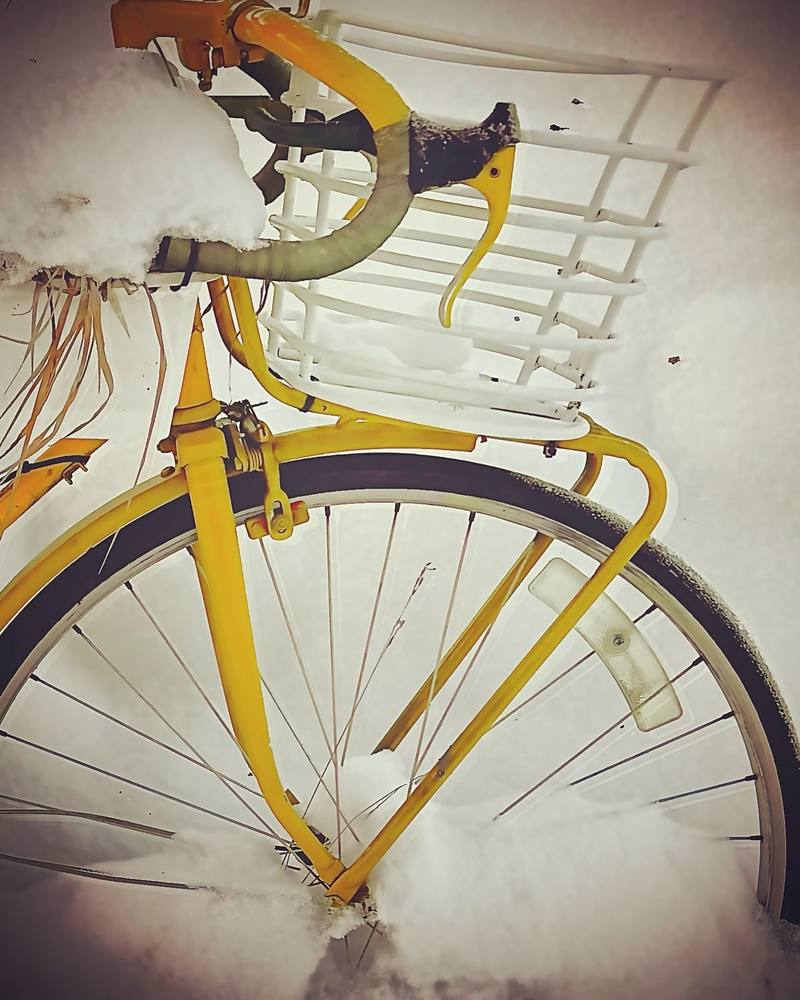 Gul Cykel i Snö — Fotografi, digitalt tryck